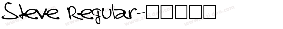 Steve Regular字体转换